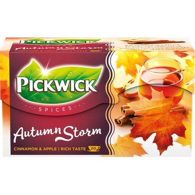 Pickwick Spices Autumn Storm 20 x 2 g