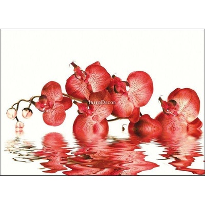 Červená orchidej 1 deska 50x40
