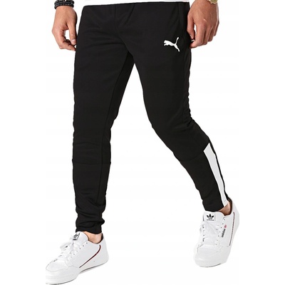 Puma TeamLiga Training Pants čierna