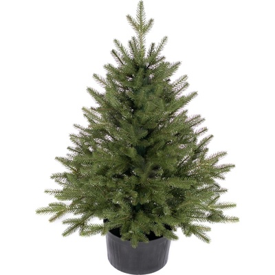 zanapo.cz Umělý vánoční stromeček Smrk Reyma 100% v květináči 80 cm