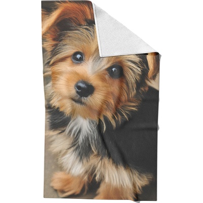 Takoy HT-00537 Rýchloschnúci uterák psie oči 50 x 90 cm