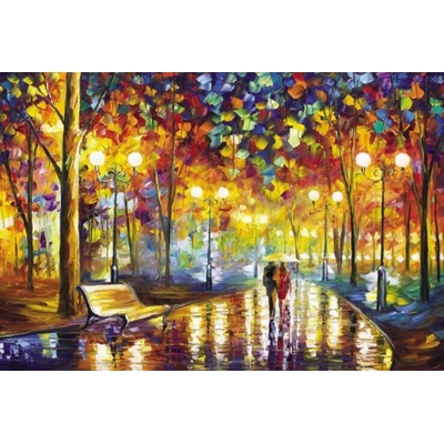 Kaltom Rainy Night Walk- Deštivá noční procházka 1000 dílků