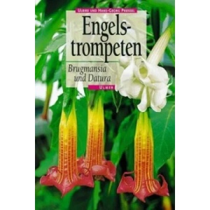 Engelstrompeten | Ulrike Preißel, Hans-Georg Preißel (1997)