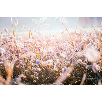 DIMEX ART s. r. o Флизелинов фототапет сутрешна скреж 375 x 250 см