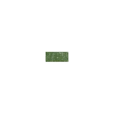 Sennelier suchý pastel 167 moss grey green