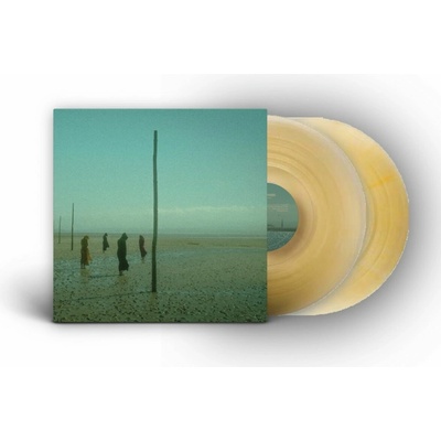 In All Her Forms - Devil's Witches LP