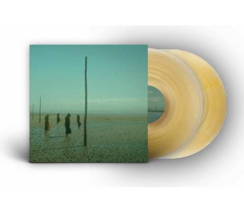 In All Her Forms - Devil's Witches LP