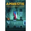 Amnestie