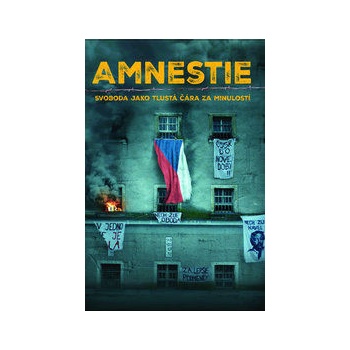 Amnestie