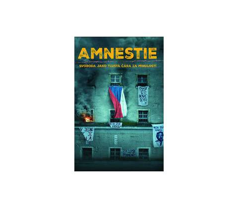 Amnestie