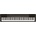 Casio CDP-130