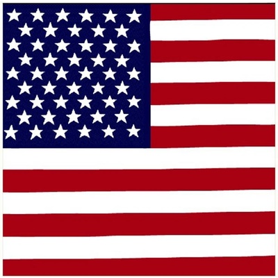 Blingstar Šátek bandana USA vlajka 1380