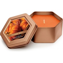 Root Candles PUMPKIN SPICE 113 g