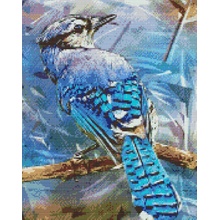 Vymalujsisam.cz Diamantové malování Ptáček Blue Jay 30 x 40 cm pouze srolované plátno diamanty kulaté