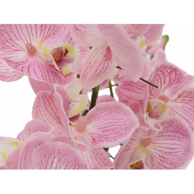 Orchidej aranžmá s květináči, růžová, 60 cm.