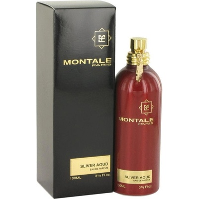 Montale Silver Aoud parfémovaná voda pánská 100 ml