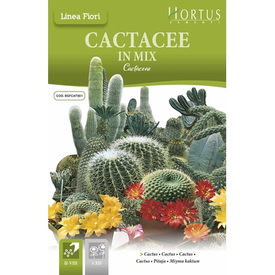 Hortus Кактуси Микс Cactaceae