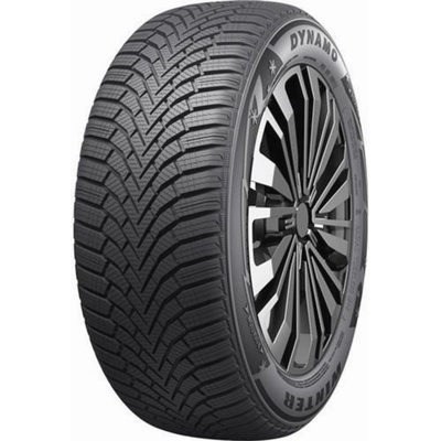 Dynamo Winter 205/60 R15 91H