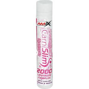 Amix Nutrition CarniSlim Lipotropic [25 мл] Ананас