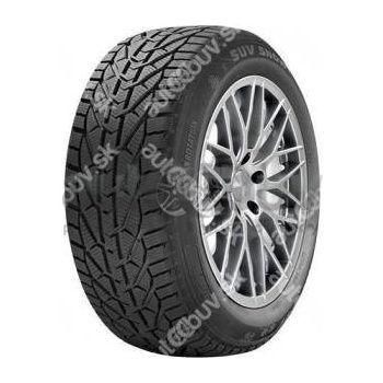 Riken Snow 205/50 R17 93V