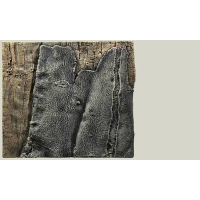 Back to Nature pozadie Slimline Amazonas 50B 50 x 45 cm