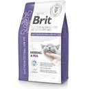 Brit VD Cat GF gastrointestinal 2 kg