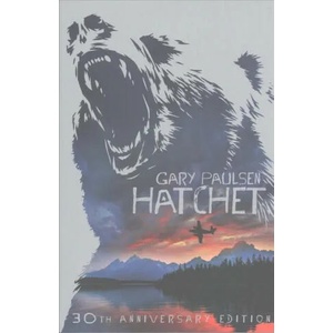 Hatchet (ISBN: 9781509838790)