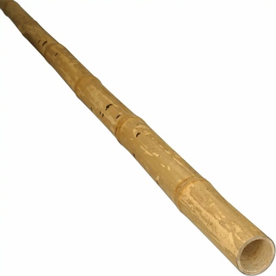 Bambusová tyč Guadua Ø 5-7 cm x 200 cm