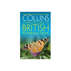 British Butterflies and Moths | Paul Sterry, Andrew Cleave (ISBN: 9780008106119)