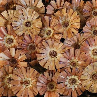 SUPERCUTS 10 - 12 CM CREAM ( 250 PC )