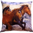 Dadka Fotovankúš Tri kone 40x40