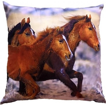 Dadka Fotovankúš Tri kone 40x40