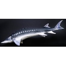 Gaby Vankúš plyšová ryba Jeseter 120