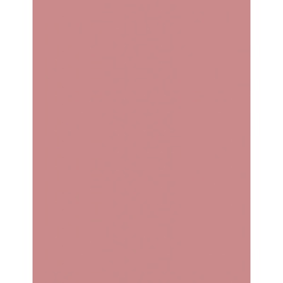 Artdeco Blusher Púderová lícenka 30 Bright Fuchsia 5 g
