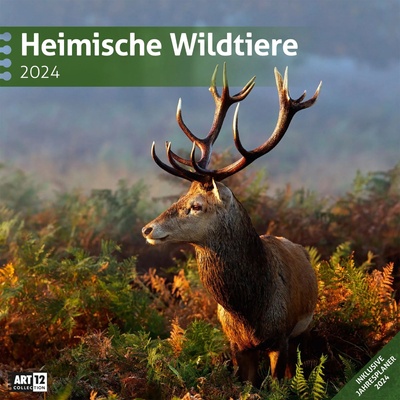 Ackermann Календар Ackermann - Wild Animals of Germany, 2024 (4426)