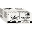 SHEBA Selection Select Slices hydinové maškrty v omáčke 120 x 85 g