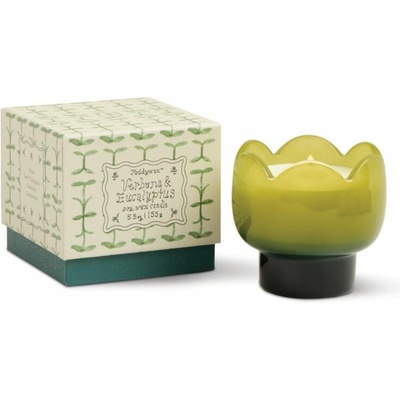 Paddywax Tulip Verbena & Lemongrass 155 g
