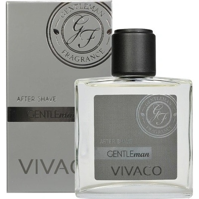 Vivaco Silver edition voda po holení Gentleman 100 ml