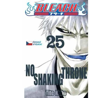 Bleach 25: No Shaking Throne