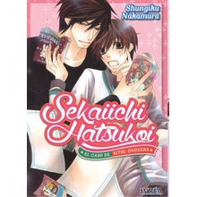 SEKAIICHI HATSUKOI 1