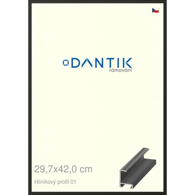 DANTIK rám na obraz 29,7 x 42 Černá matná