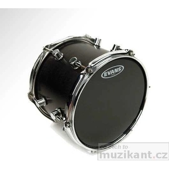 Evans B12ONX2