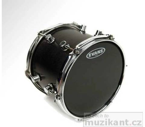 Evans B12ONX2