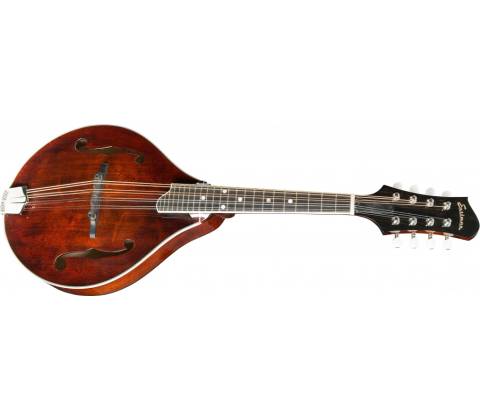 Eastman MD505