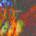 Mccleery Jono - Pagodes LP