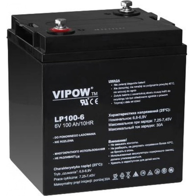 VIPOW 6V 100Ah