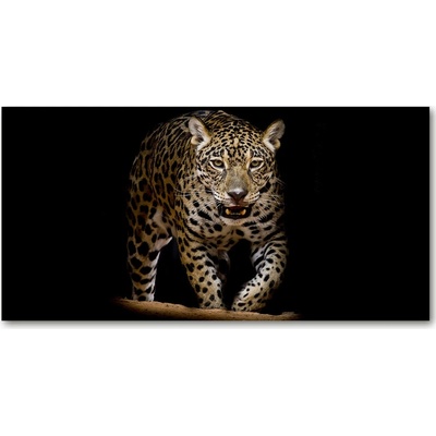 Fotoobraz na skle JAGUAL 100x50 cm