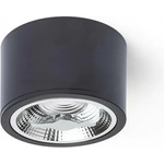 Rendl light studio KELLY LED DIMM R12634