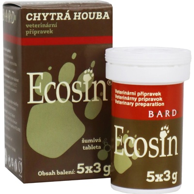 Ecosin Chytrá houba 3 x 3 g – Sleviste.cz