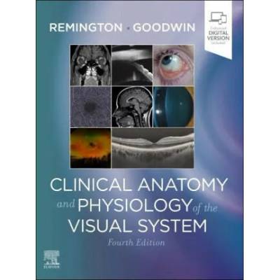 Clinical Anatomy and Physiology of the Visual System | Denise Goodwin